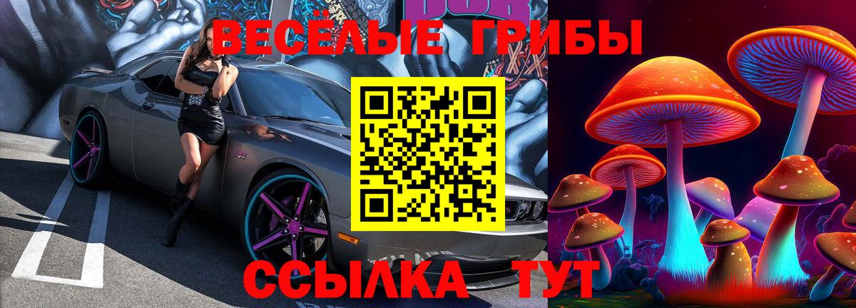 Галлюциногенные грибы ЛСД  Вход с VPN  Железногорск 